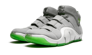 Nike Lebron Zoom 4 Grey/green/white