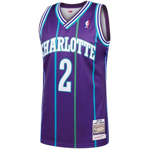 2 - Men's Mitchell & Ness Larry Johnson Purple Charlotte Hornets 1994-95 Hardwood Classics Authentic Jersey - Purple